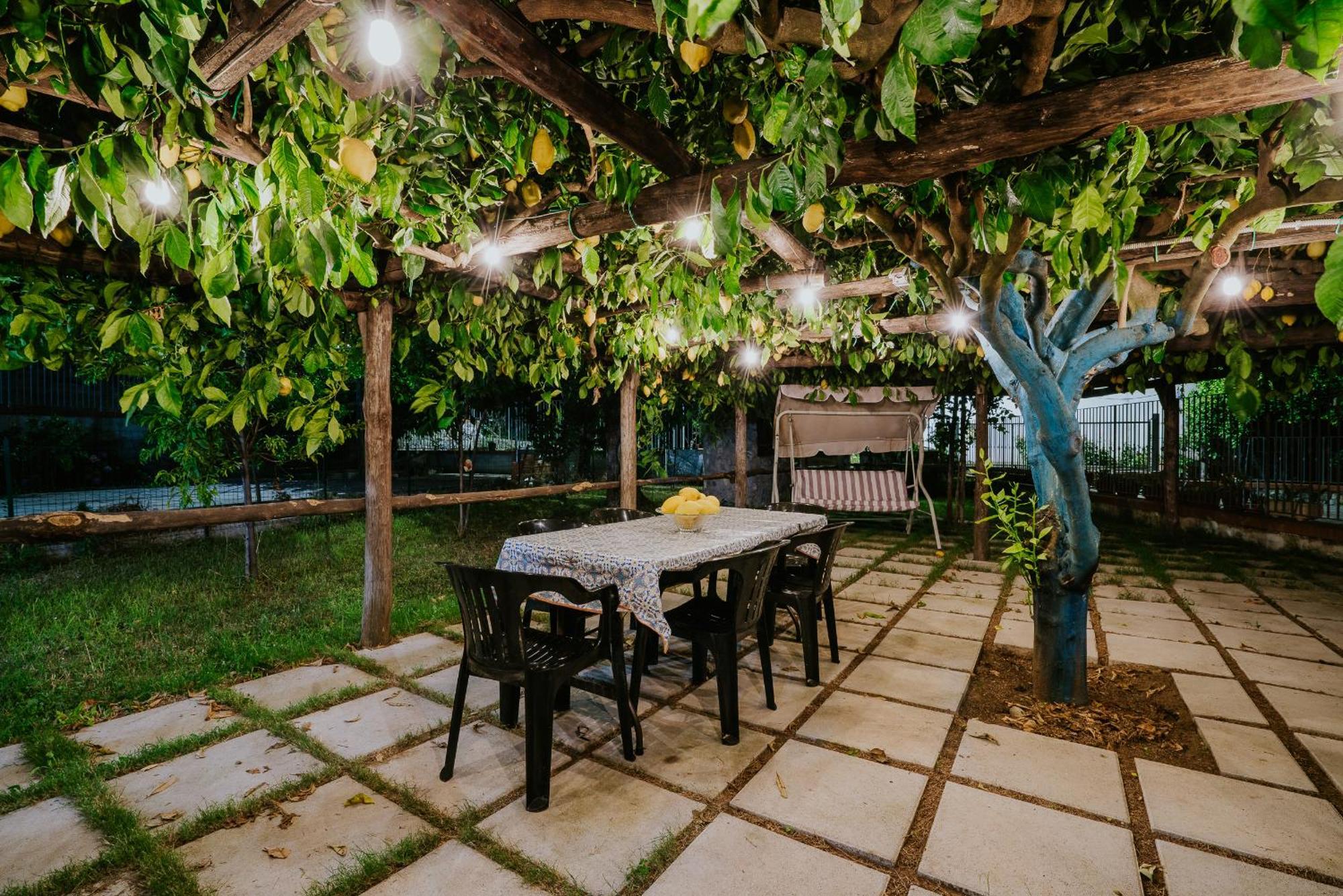 Apartment Il Giardino Dei Limoni
