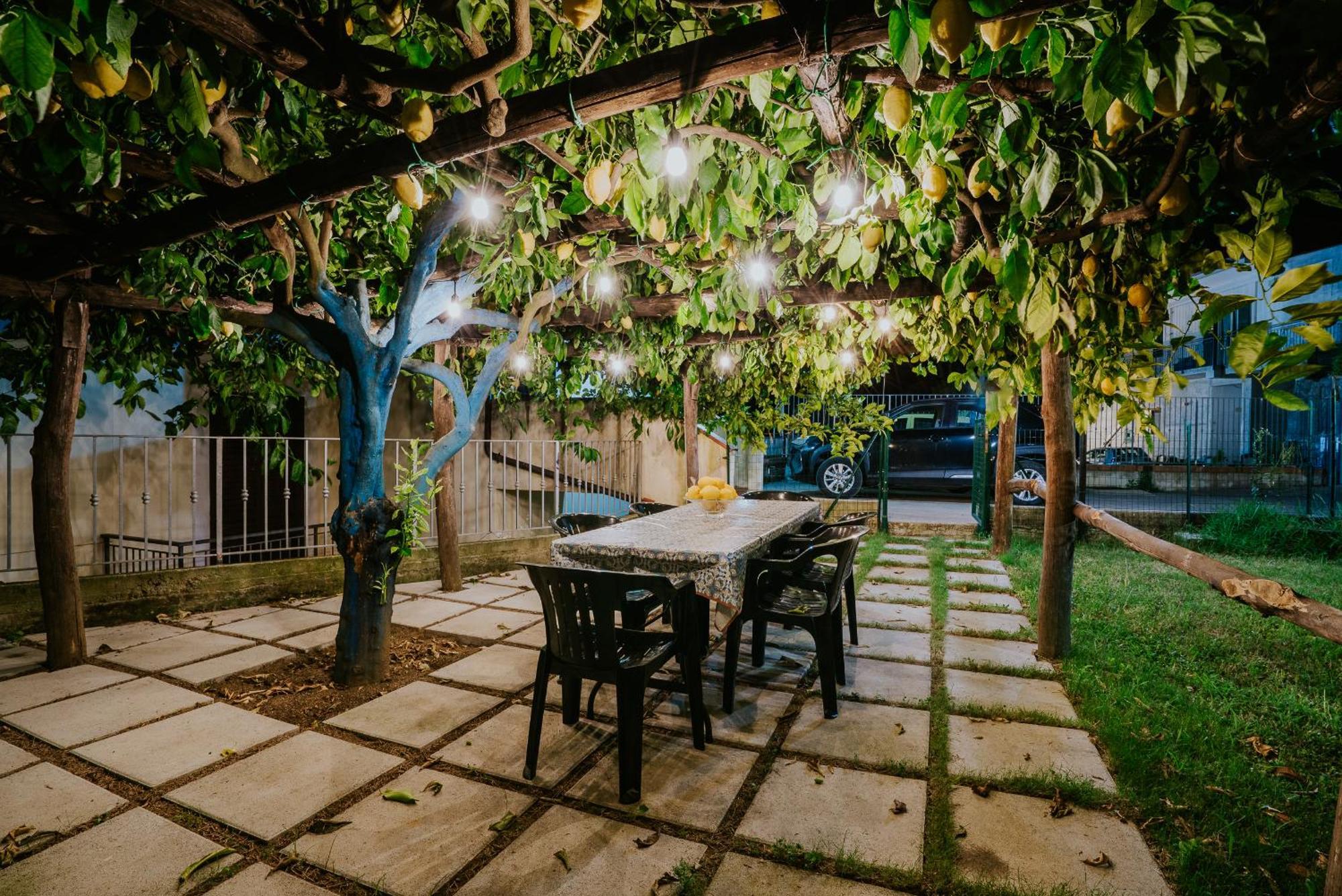 Il Giardino Dei Limoni