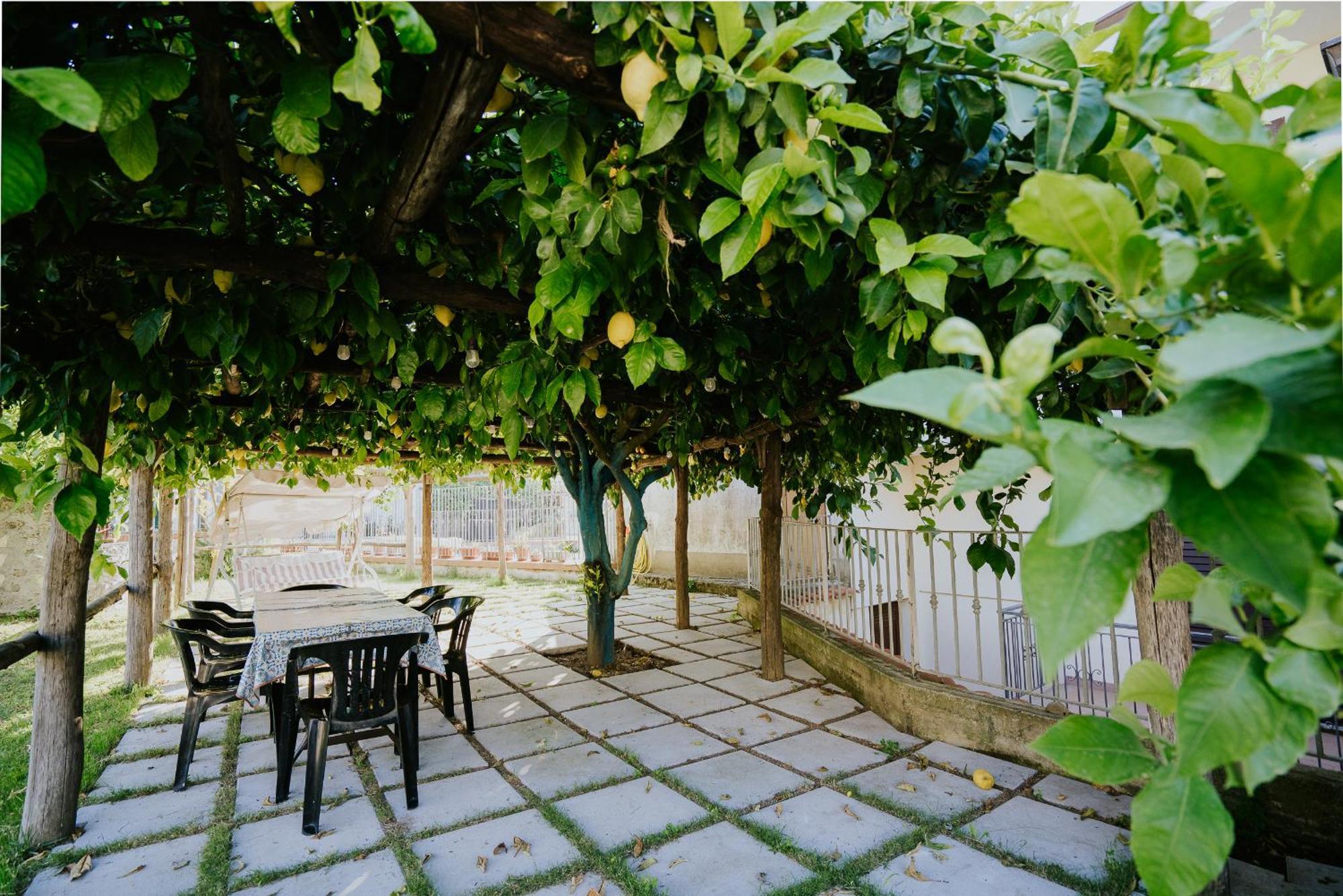Il Giardino Dei Limoni * Polvica