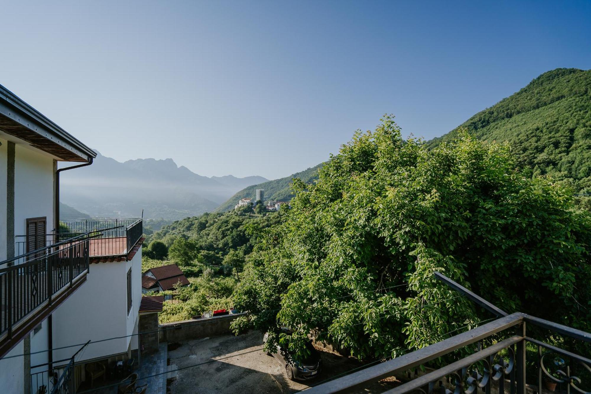 Apartment Il Giardino Dei Limoni Polvica